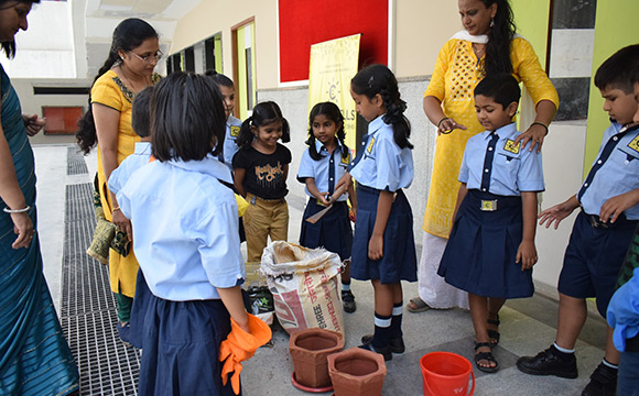 Coral Bells International School