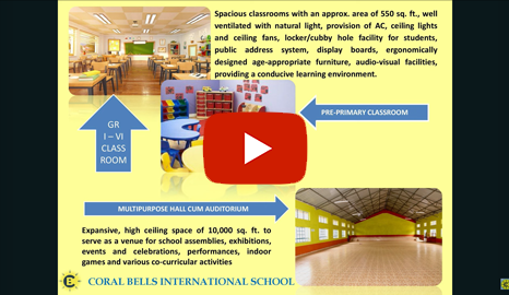 CBIS Presentation